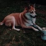 James Babin - @jamesbrianbabin - Instagram