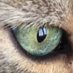 @james.bach - Instagram