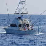 James Bach @pelagic_magic_jb - @maverick_sportfishing_kona - Instagram