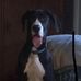 James Backstrom - Facebook