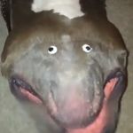James Baez - @your_not_that_guy_pal__ - Instagram