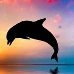 james bahamut - @jamesbahamut - Instagram