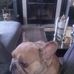 James Bailey - Facebook
