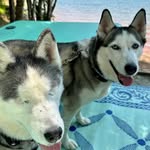 James Bailey - @james.bailey.163 - Instagram