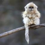 Hunter james baillargeon - @lazymonkey33222 - Instagram