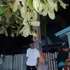 James - @james.balderas2 - TikTok