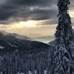 James Banner - @jamesbanner403 - Instagram