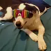 jamesbarker7283 - @jamesbarker7283 - TikTok