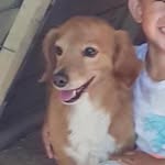 James Barnard - @james.barnard.900 - Instagram