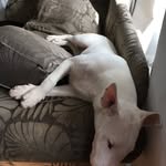 James Barraclough - @jamesbarraclough911 - Instagram
