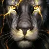 James Barta293 - @jamesbarta293 - TikTok