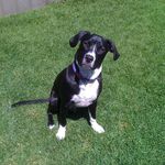 James Barter - @james.barter.5011 - Instagram