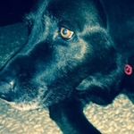 James Barter - @james_barter3 - Instagram