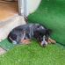James Barter - Facebook