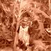 James Bartolome - Facebook