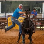 James Barton - @bartonperformancehorses - Instagram