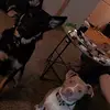 James Barton - @james.barton87 - TikTok