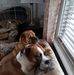 James Basey - Facebook