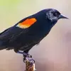 james_basford21 - @james_basford21 - TikTok