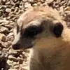 James Bason - @j14189 - TikTok