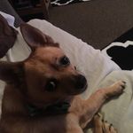 James Bateman - @jamesbateman57 - Instagram