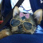 James Batson - @dramatrustbeast - Instagram