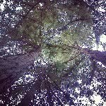 @jamesbaud - Instagram