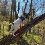 James Baughn - @baughn7623 - Instagram