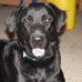 James Baughn - Facebook