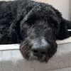 jamiebavaro - @jamiebavaro - TikTok