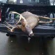 James Bayless - @deer180 - Instagram