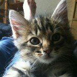 James Bazan - @jbazan2012 - Instagram