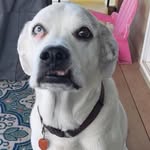 James Bazer - @jamesbazer - Instagram
