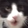 jamesbaze18 - @jamesbaze18 - TikTok