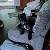 James Beachler637 - @jamesbeachler2 - TikTok
