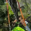 James Beadling - @james.beadling0 - TikTok