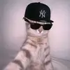 DiNosAuR - @jamesbeam13 - TikTok