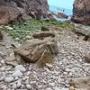 James Beam - @james.beam1 - TikTok
