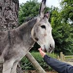 James Beamish - @beamish_03 - Instagram