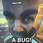 James Beans - @ilovecatsandbeans - Instagram