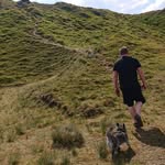 James Bearman - @wild.bear91 - Instagram