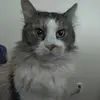 James Beasley - @james.beasley65 - TikTok