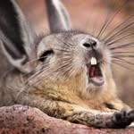 James Beaven - @spartan11295 - Instagram