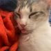 James Beazley - Facebook