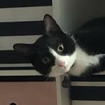 Oliver James (ollie or OJ for short) - @oliver_james_bechtel - Instagram