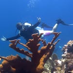James Becker - @jamesbecker21 - Instagram