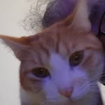 James Beckett - @james.beckett2424 - Instagram