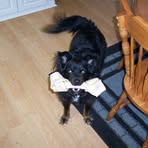 James Beckstead - Facebook