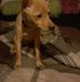 James Bednarczyk - Facebook