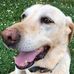 James Bednarczyk - Facebook